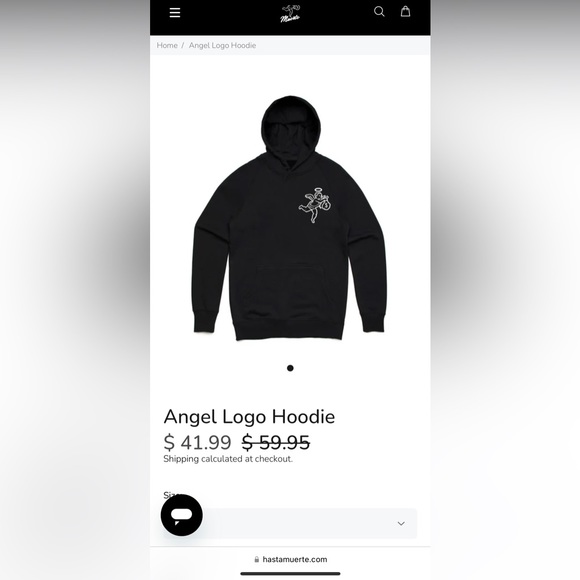 Angel Logo Hoodie - Picture 7 of 7